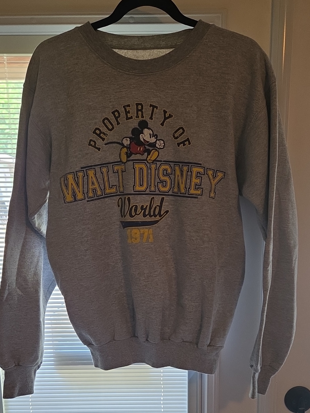 Disney Gray Crewneck with Mickey and Walt Disney World Graphic